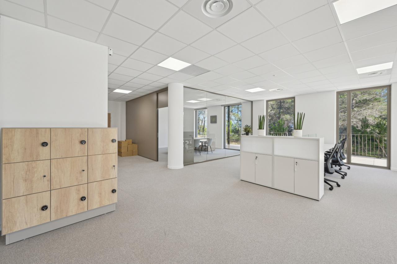 Bureau Sophia Antipolis 9093m² Location bureau Sophia Antipolis Alpes-Maritimes OLBUR2115917 6